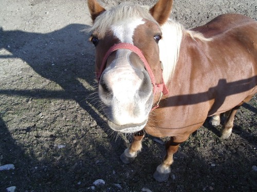 Zeluce 191003 011.jpg